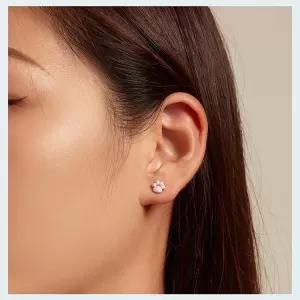 Обетки  Pink cats Paw   Ninabox®