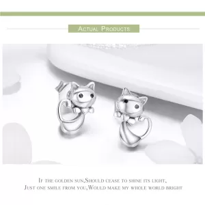 Обетки  Cute cats   Ninabox®