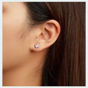 Обетки  Black cats claws   Ninabox®