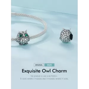 Чармс приверзок  Owl Ninabox®