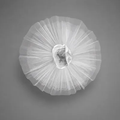 Paris Tutu - Туту